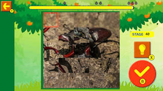 Brain Workout!Spinning Insect Puzzle screenshot 3