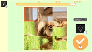 Brain Workout! Spinning dog Puzzle screenshot 2