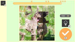 Brain Workout! Spinning dog Puzzle screenshot 4