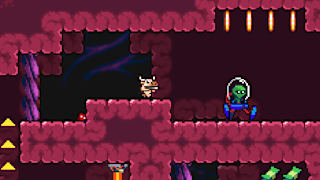 M.A.D. Cows screenshot 2