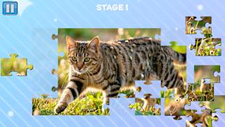 Funny Cats Puzzle screenshot 2
