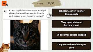 Cat Doctor: For Loyal Servants screenshot 4