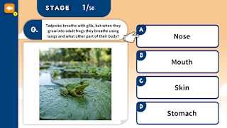 Challenge Together! Elementary School Quiz screenshot 1
