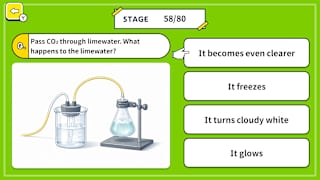 Amazing Lab! Science Experiments Quiz screenshot 3