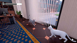 Little Kitty Meow screenshot 5
