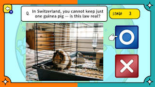 Surprising Laws Around the World True or False Quiz screenshot 3