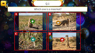 Party Fun! 8-Player Common Sense Battle screenshot 1