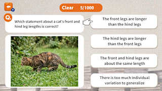 1000 Questions to Be Chosen by the Cat Lord screenshot 4