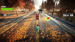Traffic Survivor screenshot 6