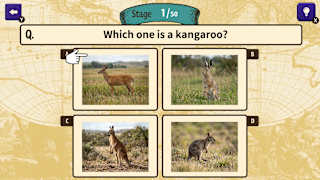 Can You Make the Cut? Worldwide Common Sense Check screenshot 1