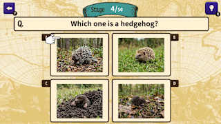 Can You Make the Cut? Worldwide Common Sense Check screenshot 4