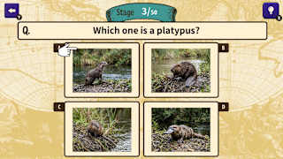 Can You Make the Cut? Worldwide Common Sense Check screenshot 3