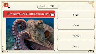 Professor Neumann's Adult Certification Test screenshot 1