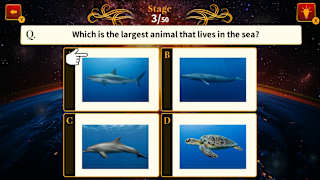 Common Sense National Championship screenshot 3