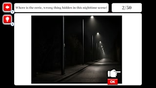 Midnight Anomaly Mystery screenshot 2