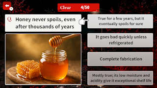 How True Is This Rumor? Urban Legend Mystery screenshot 3