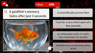 How True Is This Rumor? Urban Legend Mystery screenshot 1