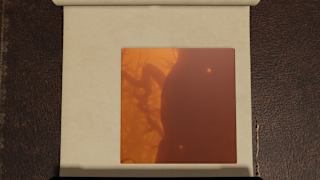 Solid Void - Halloween Nonograms screenshot 3