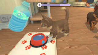 My Universe Discovery Collection 2 screenshot 2