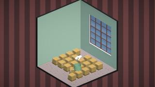 Brain Puzzles Bundle 12 in 1 screenshot 1