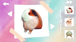 Capybara and Friends Cozy Bundle screenshot 2