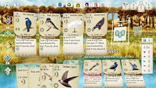 Birds and Cats screenshot 1