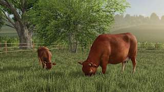 Farming Simulator: Signature Edition screenshot 2