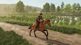 Farming Simulator: Signature Edition screenshot 4