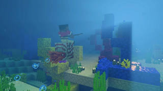 Minecraft screenshot 2