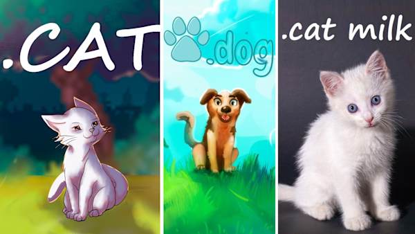 BUNDLE CATS + DOG