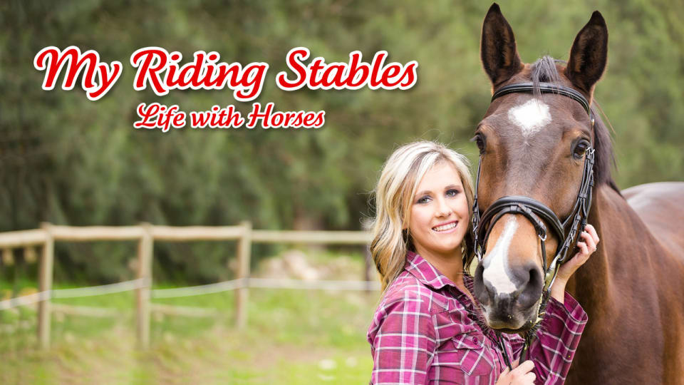 My Riding Stables Life With Horses For Nintendo Switch Nintendo Game Details - roblox song id horses