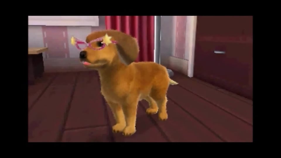 nintendo pet