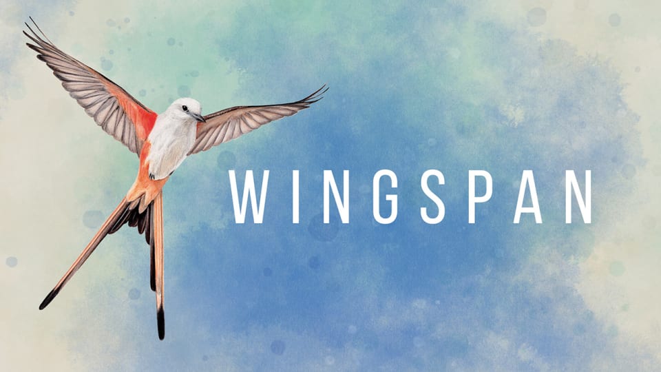 Wingspan nintendo switch release