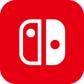 A small Nintendo Switch app icon is shown.