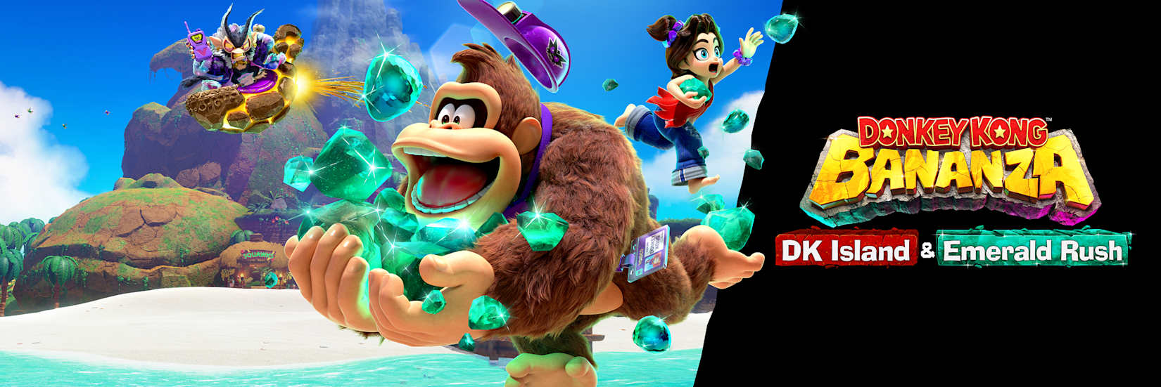 dk dlc banner medium up |