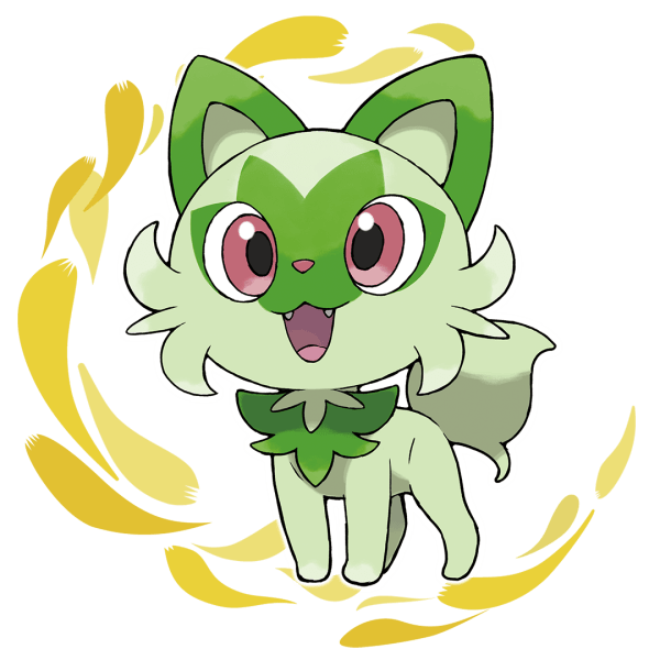 starter grass