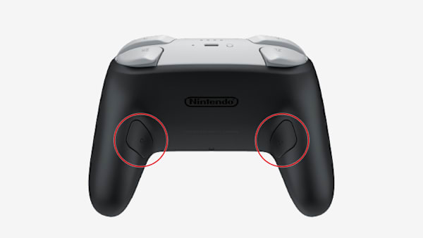Zuiki Mascon for Nintendo Switch (EXCLUSIVE EDITION
