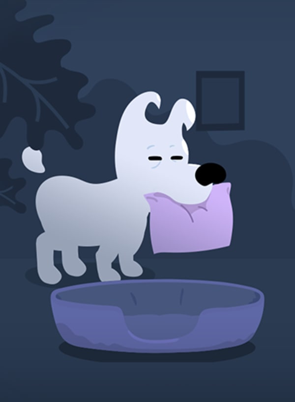 Mimpi Dreams for Nintendo Switch - Nintendo Official Site