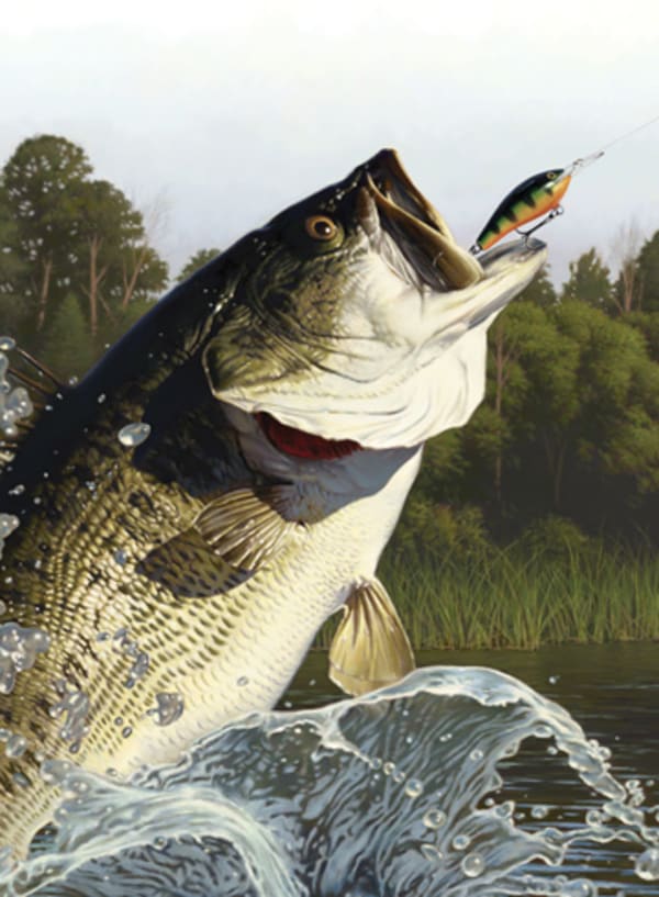 Rapala Fishing Pro Series for Nintendo Switch - Nintendo