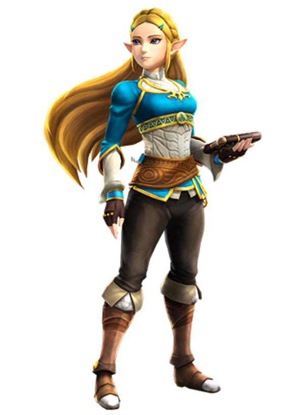 Amazon.com: Hyrule Warriors: Definitive Edition (Nintendo