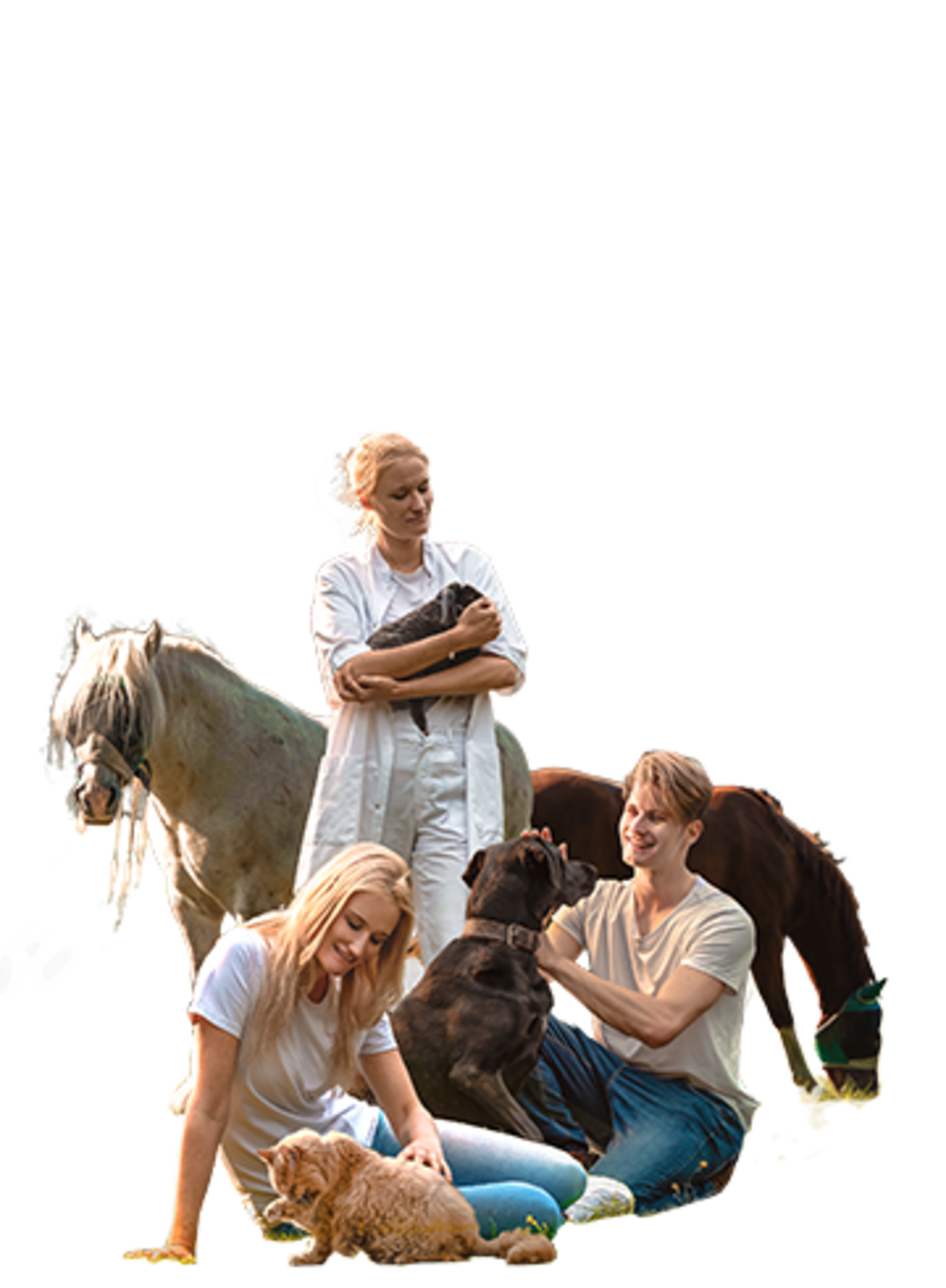 Animal Doctor