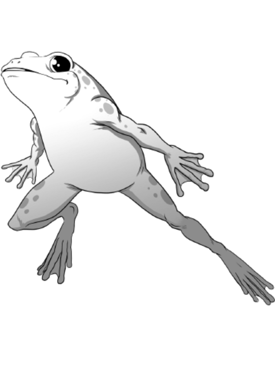 Dojoran