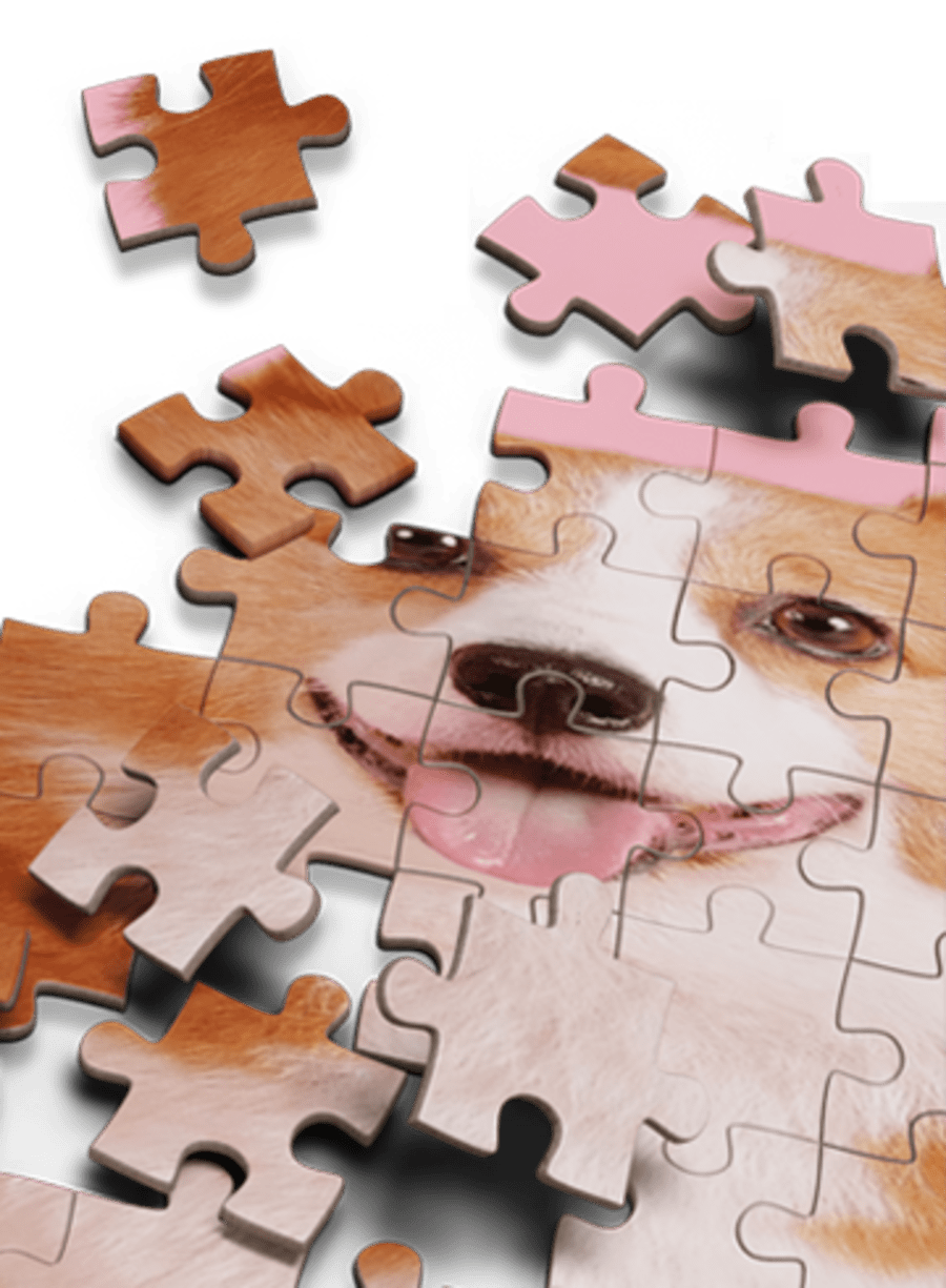 Jigsaw Fun: Piece It Together!