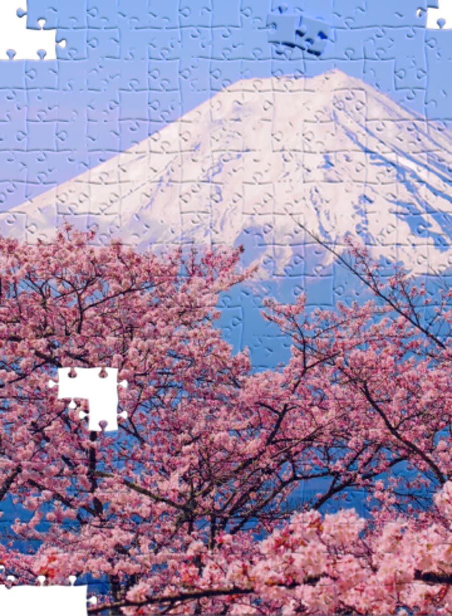 Jigsaw Fun: Wonderful Nature