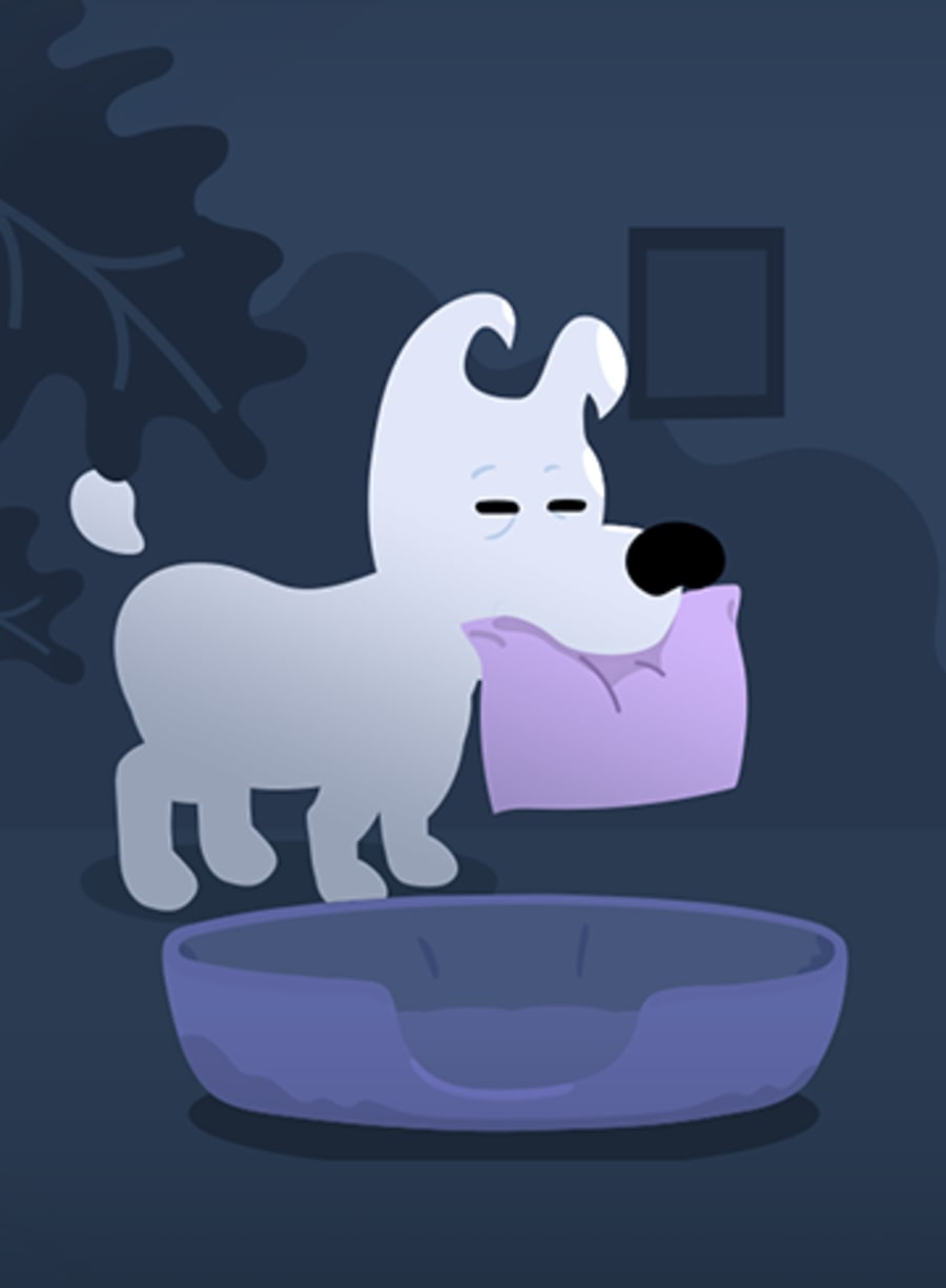 Mimpi Dreams