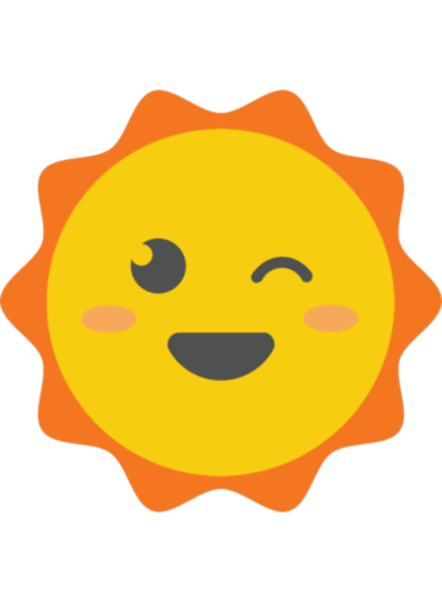 Funny Sunny