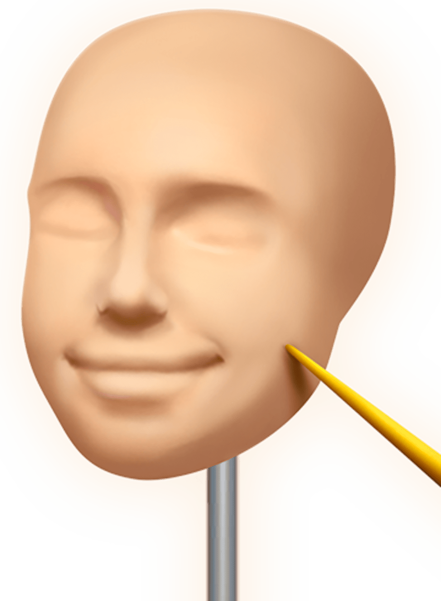 Sculpt People