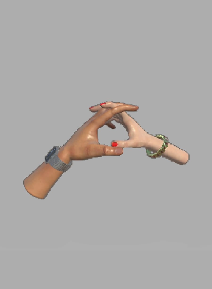 Hypotheses on the Symmetry between Vision and Hands