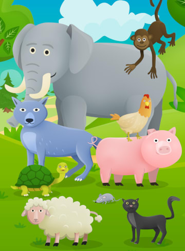 Animal Fun Puzzle - Preschool and kindergarten learning and fun game for toddlers and kids