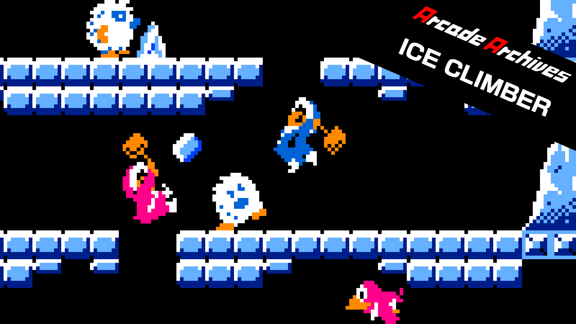 Arcade Archives ICE CLIMBER